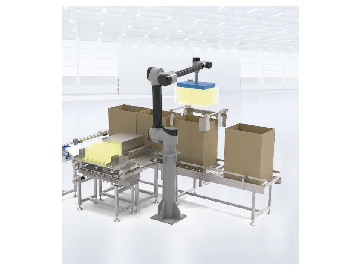 WB-30 Collaborative Case Packing Robot Workstation